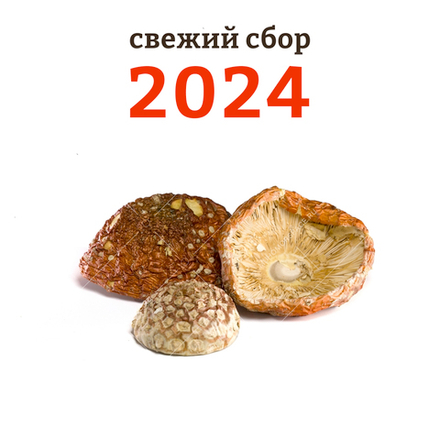Мухомор красный отборные молодые шляпки 50 гр. Сбор 2024 года!