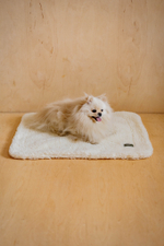 Плед "Пони-сони" Белый