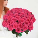 51 Роза розовая Эквадор 60см.