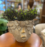 Арт кашпо [Арт. XET-7595]