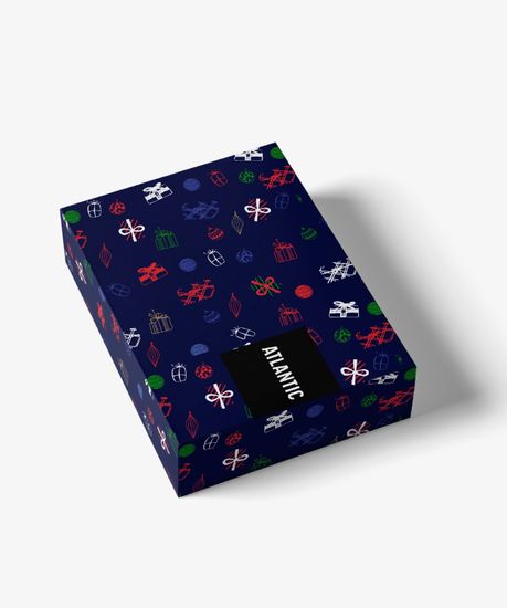 Трусы мужские боксеры (2шт), Atlantic 2GMH-007, темно-синие