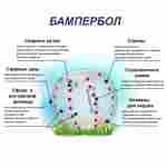 Бампербол "Прозрачный с красными держателями", ПВХ, диаметр 1,2 м