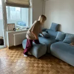 Брюки Смерч вельветовые #6 бордовые