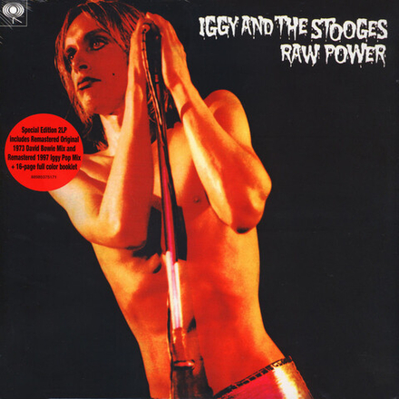 Iggy & The Stooges Raw Power