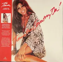 Tina Turner - Tina Turns The Country On! - (Half Speed) LP