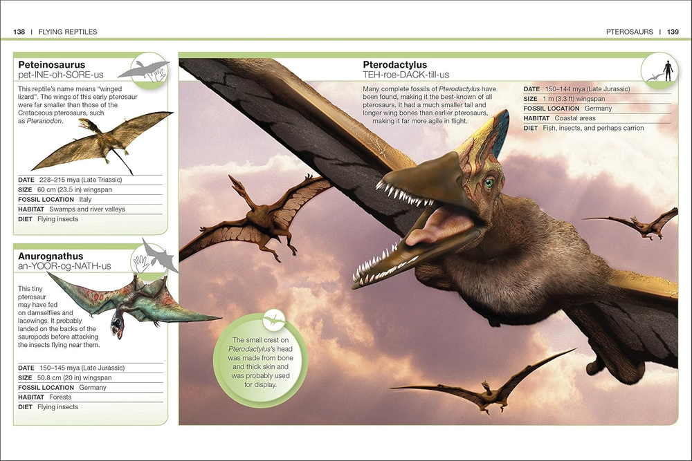 Dinosaurs (Pocket Eyewitness)