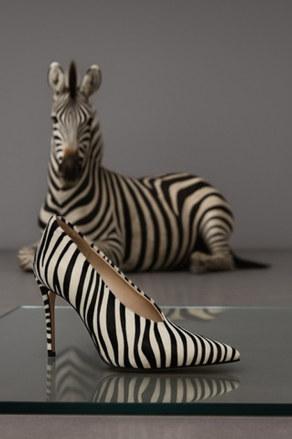 Туфли BARBARA ZEBRA