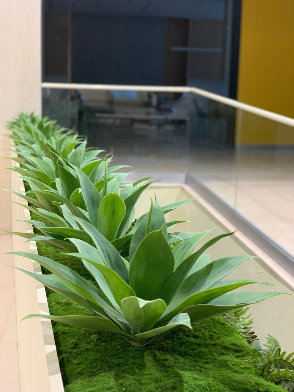 19.12. Озеленение центрального офиса "Центр-Инвест Банка" г.Ростов