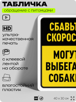 Табличка "Сбавьте скорость, могут выбегать собаки" на дверь и забор, для двора, дома, подъезда, 40х30 см, Silver Plane x Айдентика Технолоджи