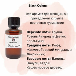 Prof-Royal отдушка парфюмерная OPALE NOIRE для свечей, мыла и диффузоров, 100 мл