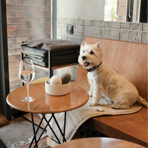 Лежак для путешествий КУПЕР Barkway