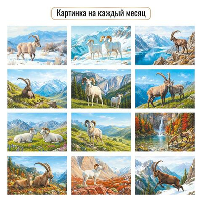 Календарь отрывной на магните 2027 "Символ года" 10333 (Квадра)