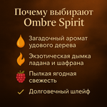 Ombre Spirit парфюм от Le Mon Cher