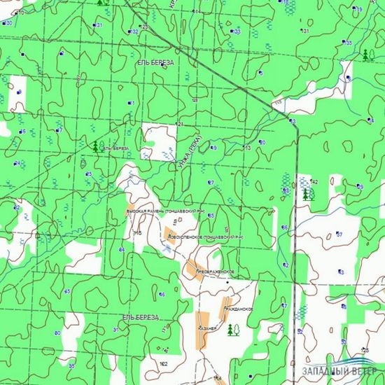 Карта Garmin Дороги России.РФ.ТОПО
