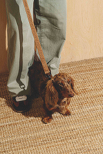 Поводок-перестежка "Пони-Компаньони" Рыжий