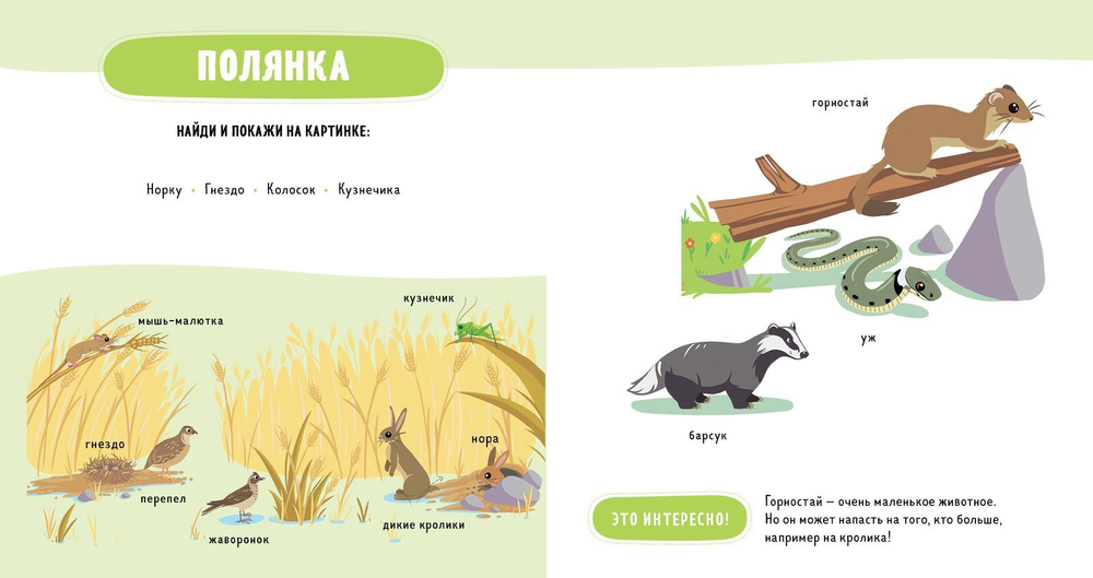 Главная книга малыша. Прогулка по лесу