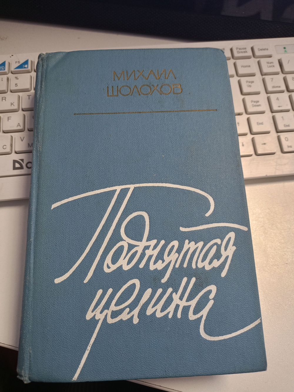 Поднятая целина