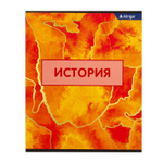 Тетрадь предметная "История" А5 36л., клетка, со справочным материалом, скрепка, мелованный картон (стандарт), блок офсет, Alingar "Мрамор"