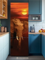 Наклейка интерьерная на холодильник Слон и солнце