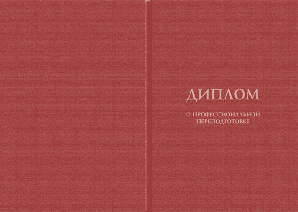 Главный бухгалтер