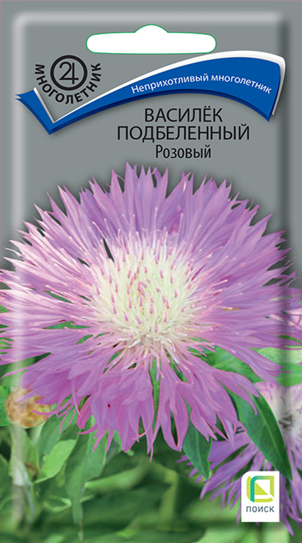 Василек подбеленный Розовый