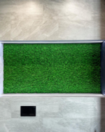 Мох ягель зелёная трава GR 500 гр.