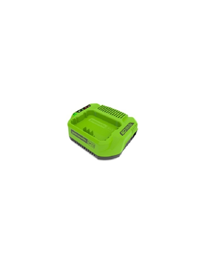 Greenworks Зарядное устройство Greenworks , 60V [2932007]