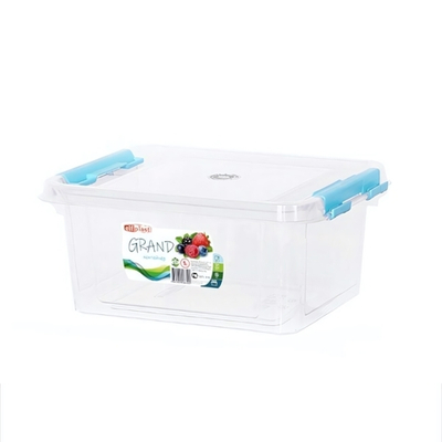 Контейнер "Grand" прямоугольный 1 л 187*144*65 цвет в ассортименте