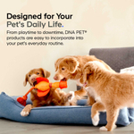 Codeage, DNA Pet, для здоровья органов, формула для нескольких органов и желез, для кошек, 42 г (1,48 унции)