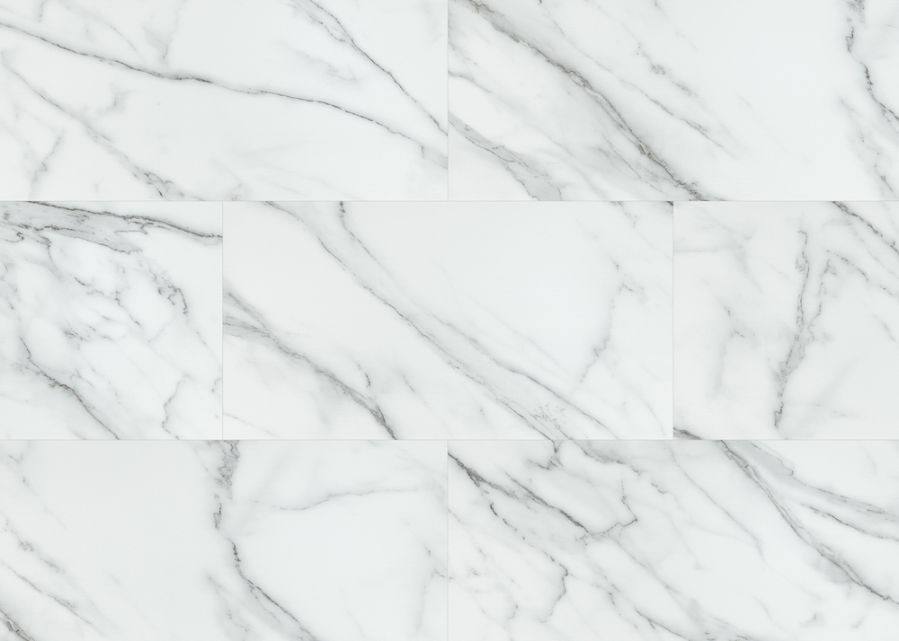 FS 04001 VENATO