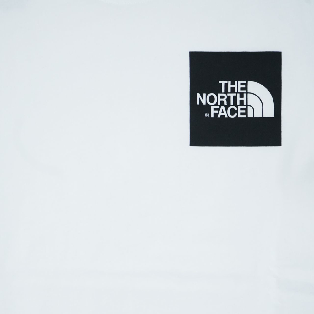 Футболка мужская The North Face Fine TNF White/TNF Black - купить в магазине Dice