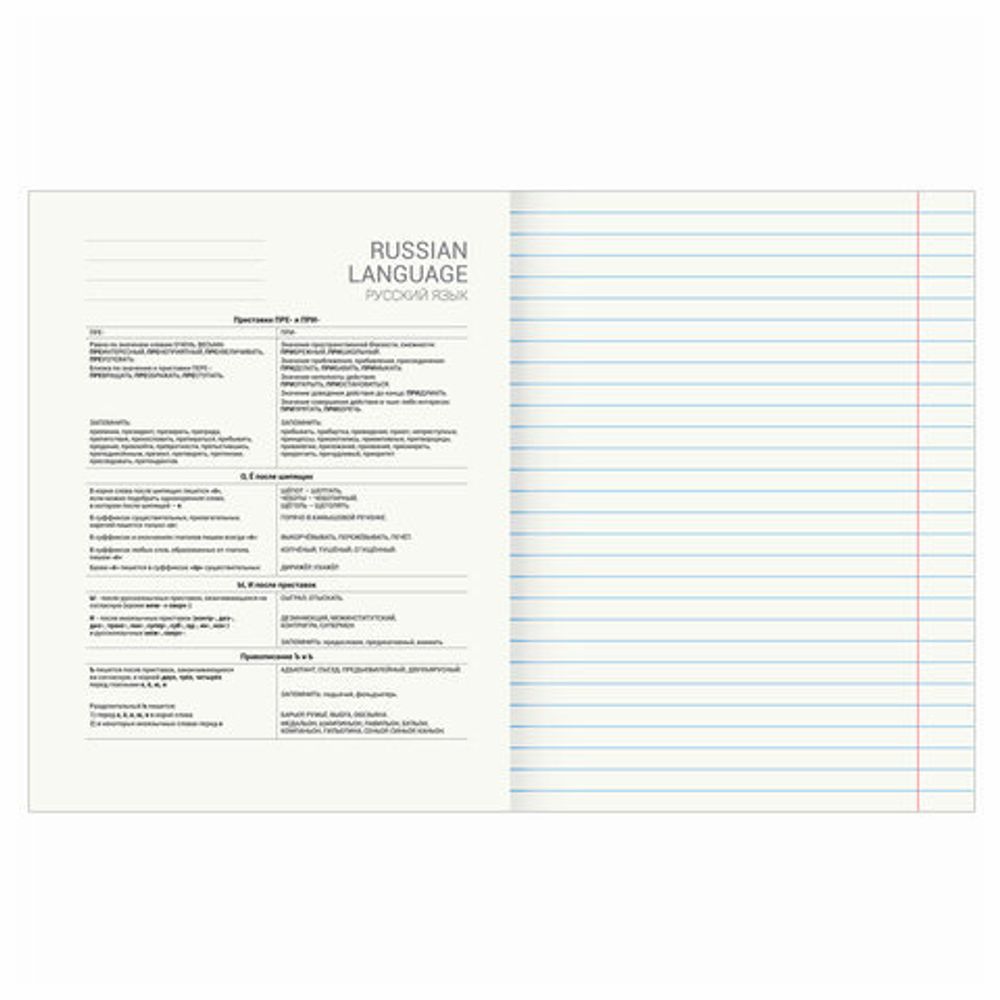 Тетрадь предметная "КЛАССИКА NATURE" 48 л., обложка картон, РУССКИЙ ЯЗЫК, линия, BRAUBERG, 404589