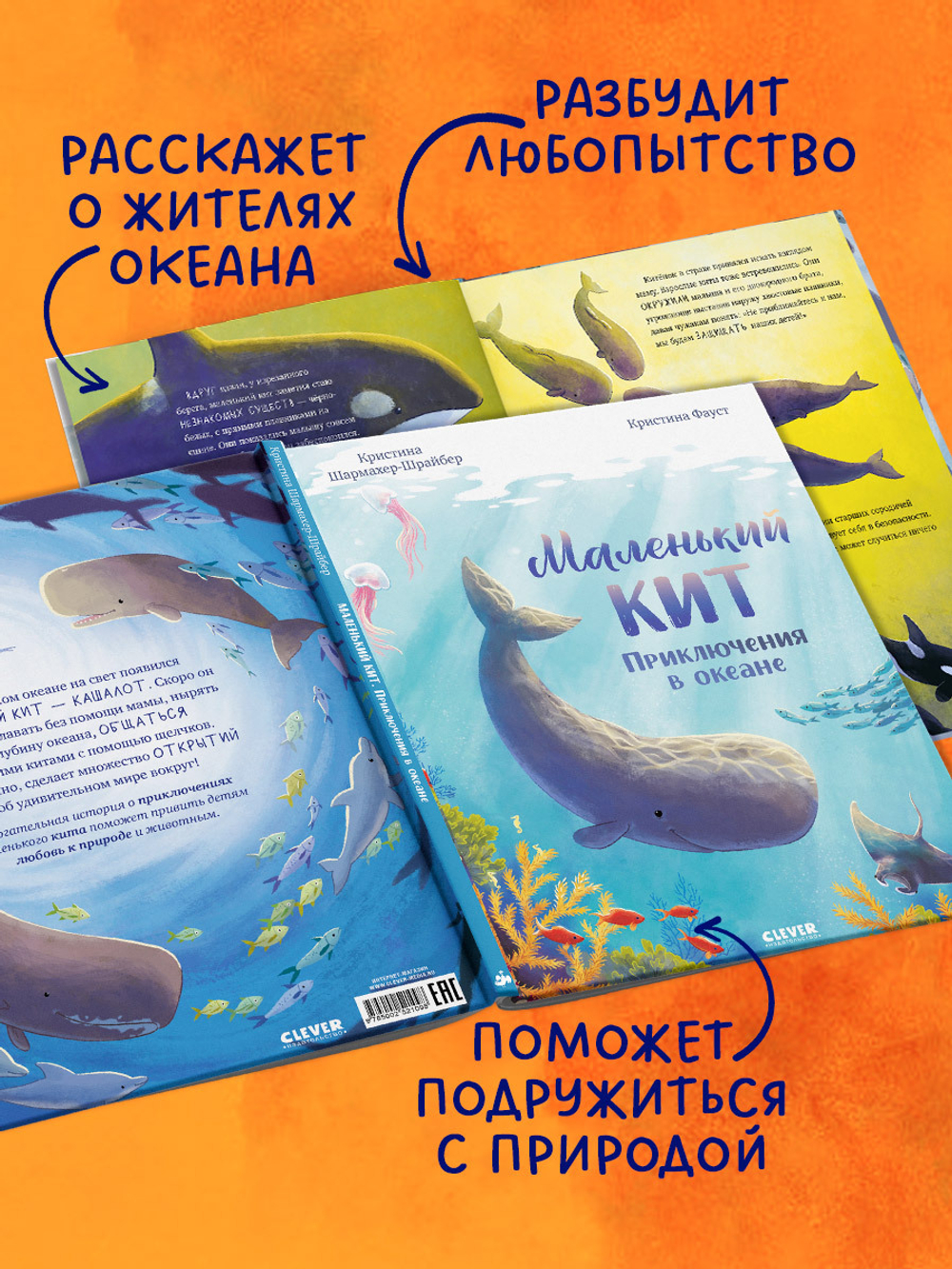 Удивительные животные. Маленький кит. Приключения в океане