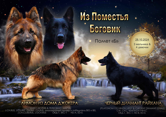 Помет "Б"