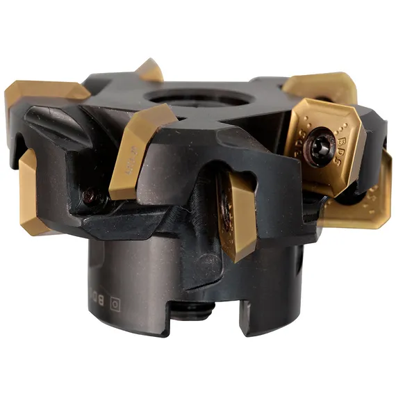 Головка фрезерная BDS ZFR 250 для SKF 25