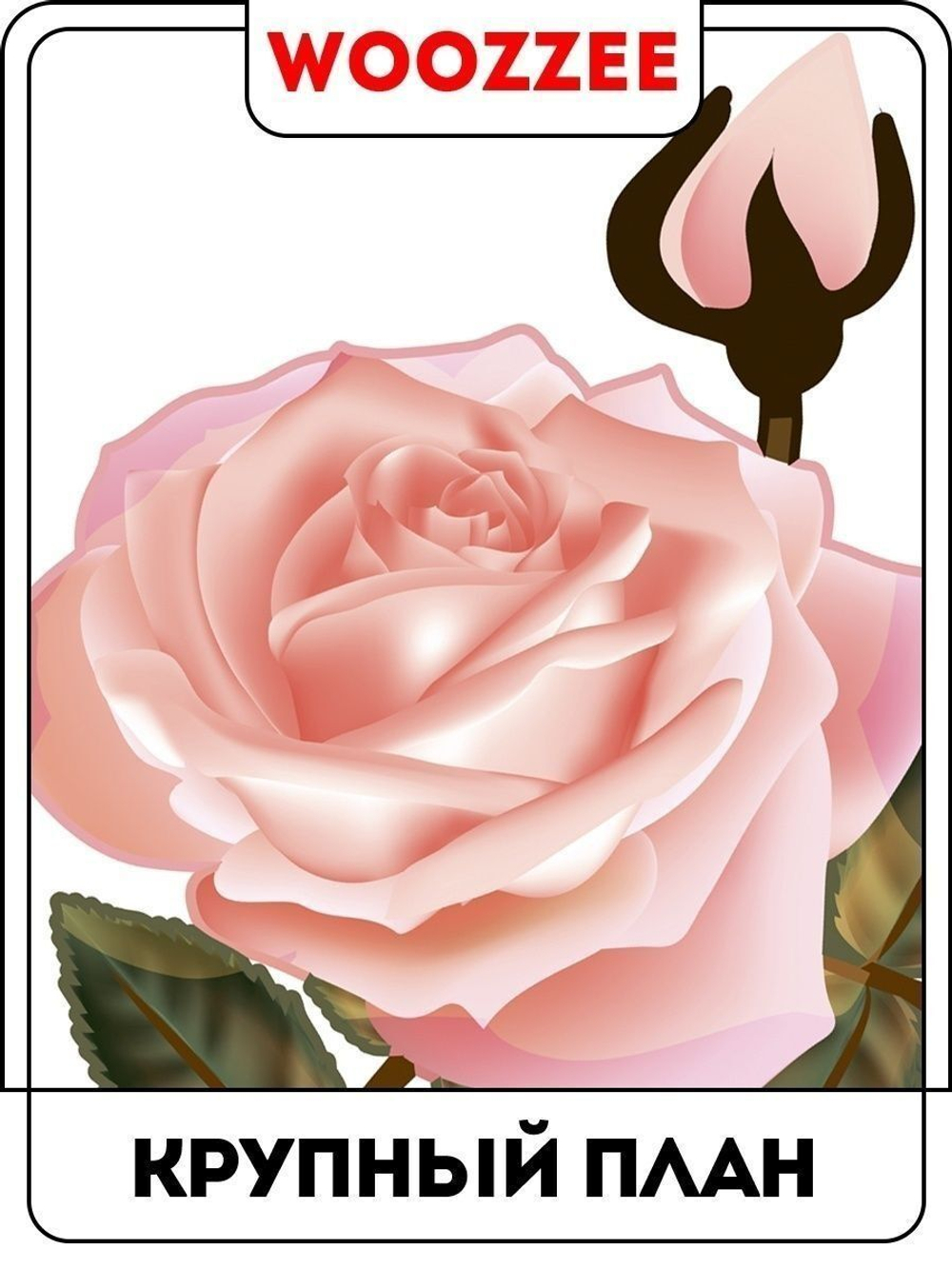 Наклейка декоративная "Ассорти из роз"