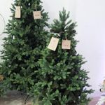 Искусственная елка «Грацио» (Литая+пвх) 120 см / 1.2 м