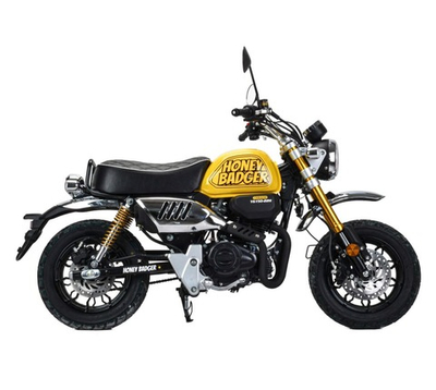 Мотоцикл MOTOLAND Monkey 150 PITBIKE