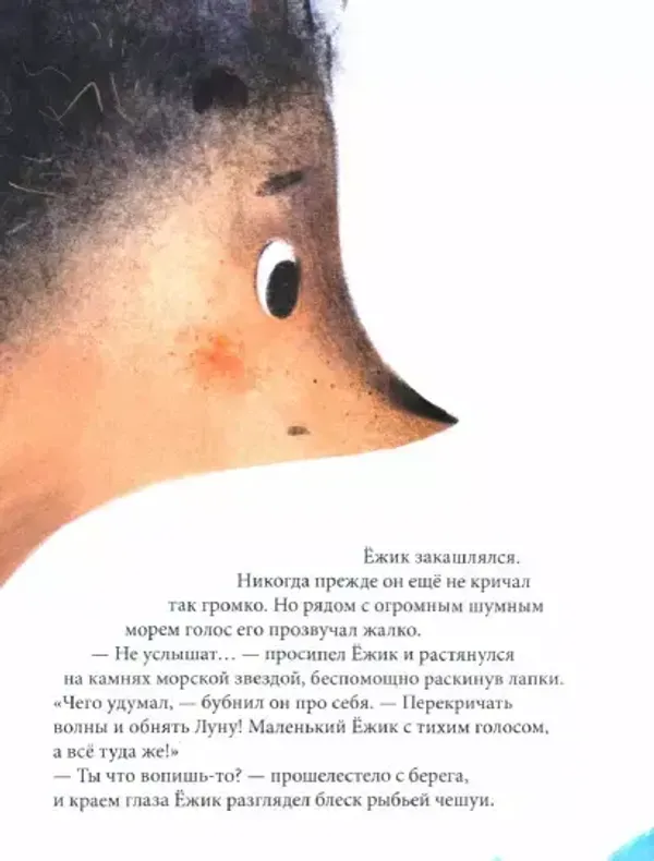 Ёжик, который хотел обнять Луну