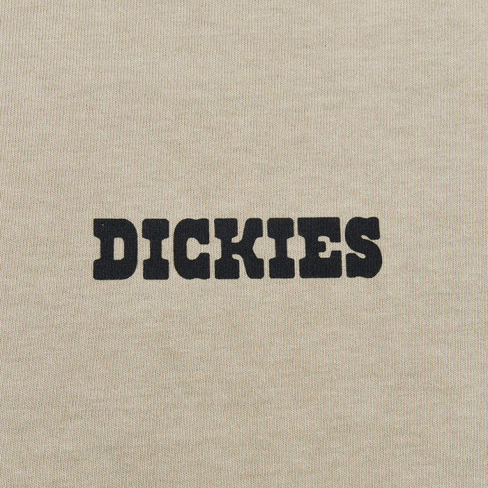 Футболка мужская Dickies Darrtown Short Sleeve Tee 