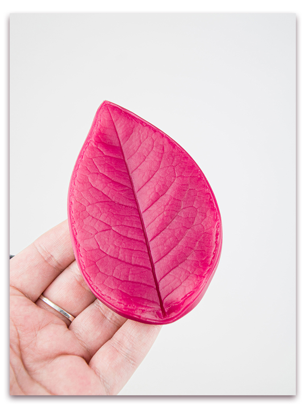 Лист розы большой универсальный