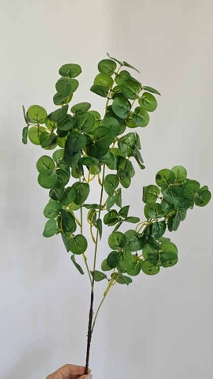 Эвкалипт / Арт 3065