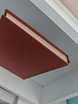 Мир животных. Рассказы о змеях, крокодилах, черепахах, лягушках, рыб