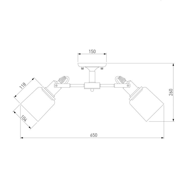 Потолочная люстра Eurosvet Astor 70111/5 черный