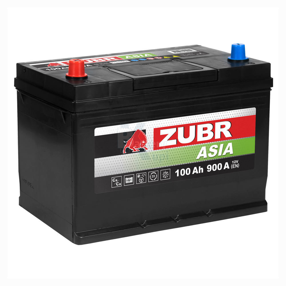 Аккумулятор ZUBR Premium Asia (100Ah, 850A, L+) ZPA1001