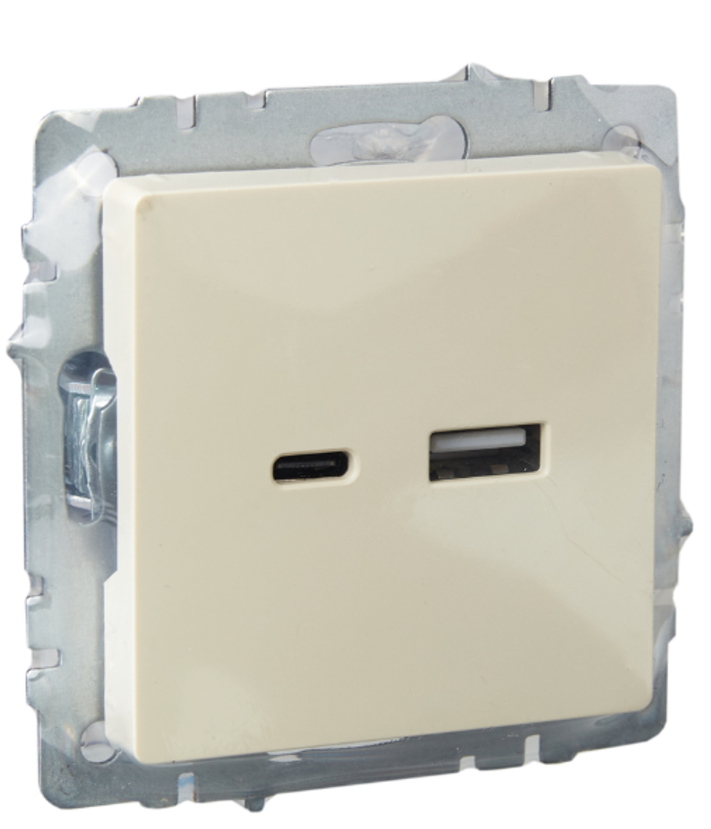 Розетка USB  IEK BR-U22-018-K10