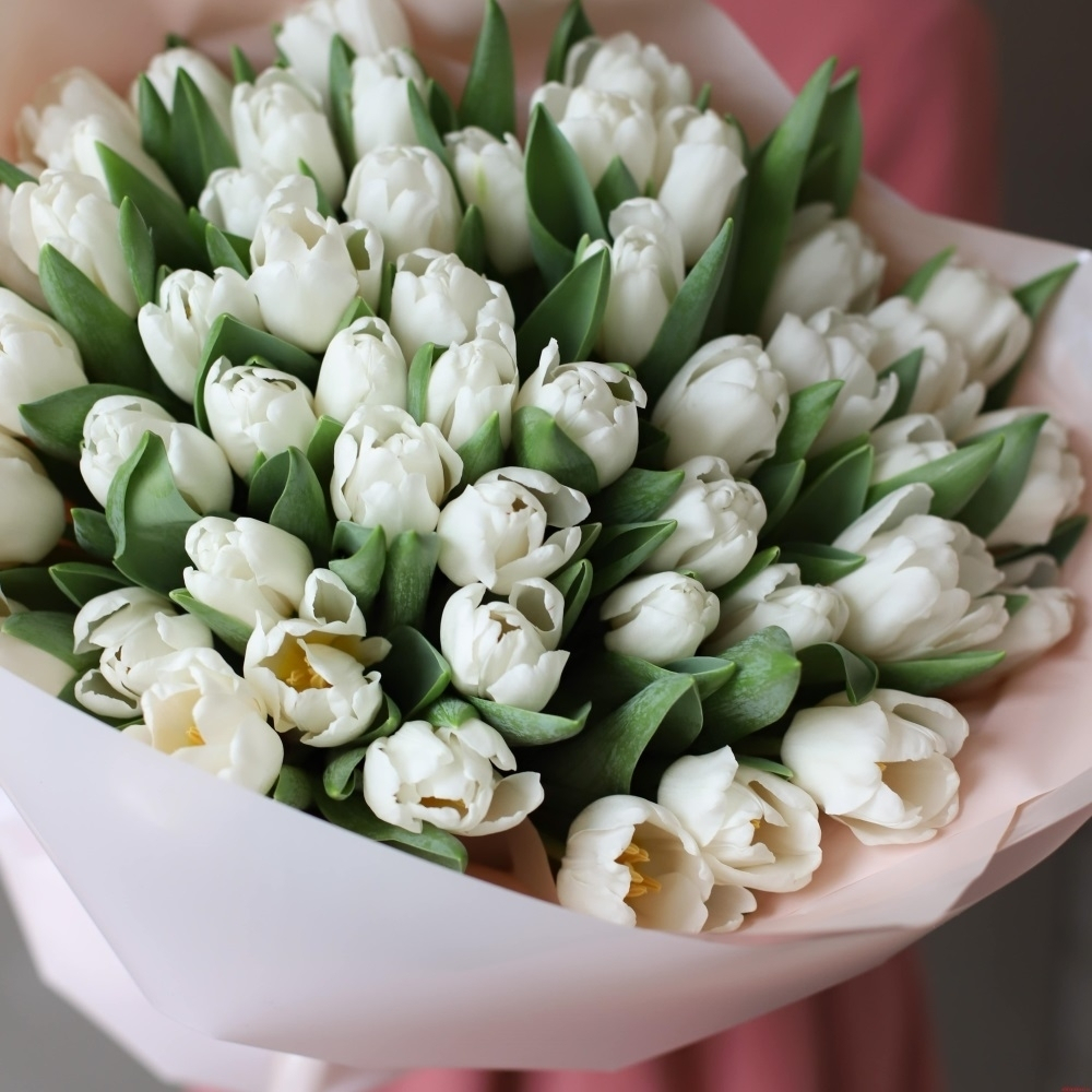 Акция! Букет 51 белый тюльпан