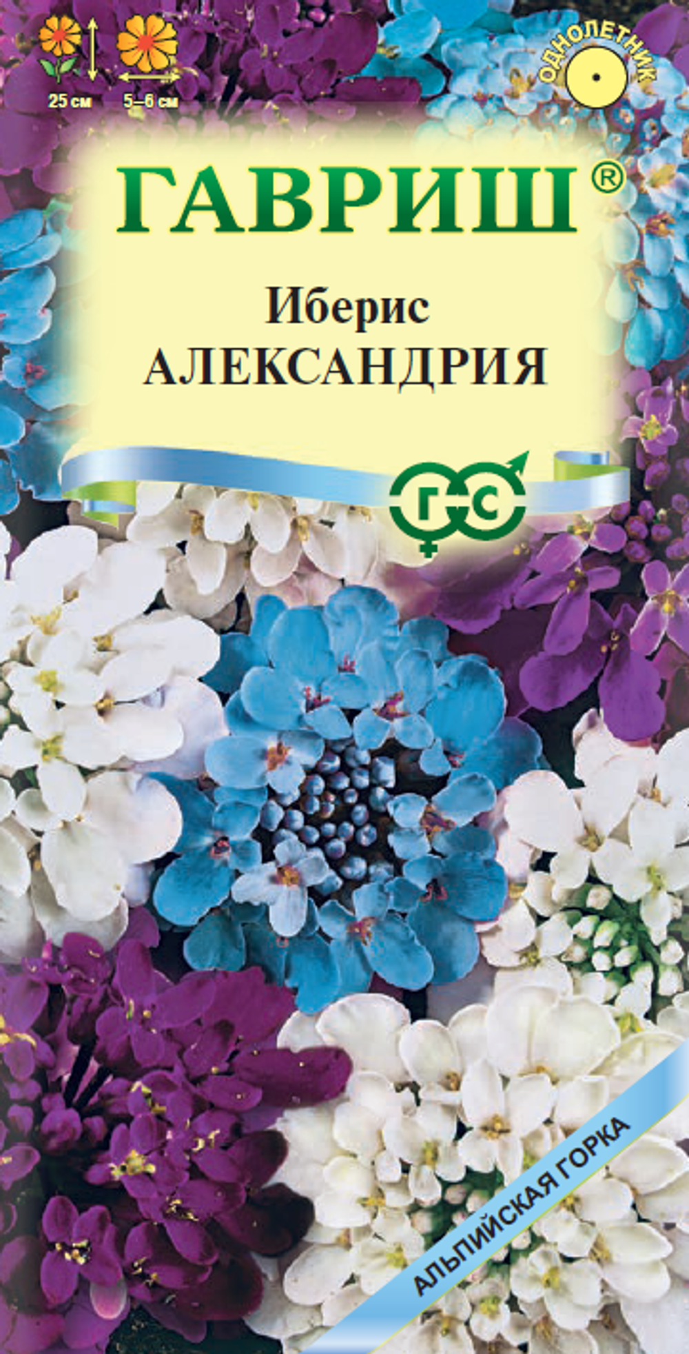 aleksandriya_mini4