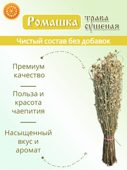 Ромашка пучок, 1 шт.