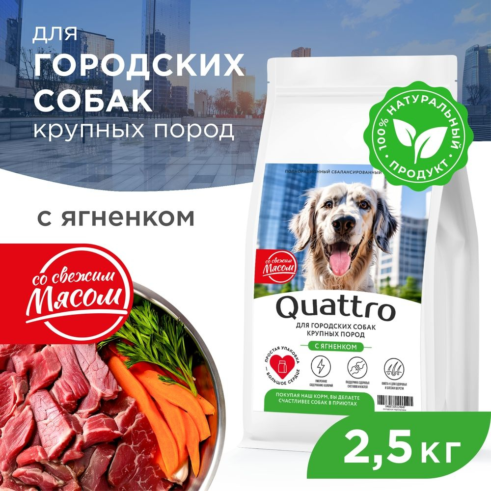 Корм сухой для взрослых собак крупных пород, премиум полнорационный комплекс, для городских собак, с ягненком, 2,5 кг, QUATTRO